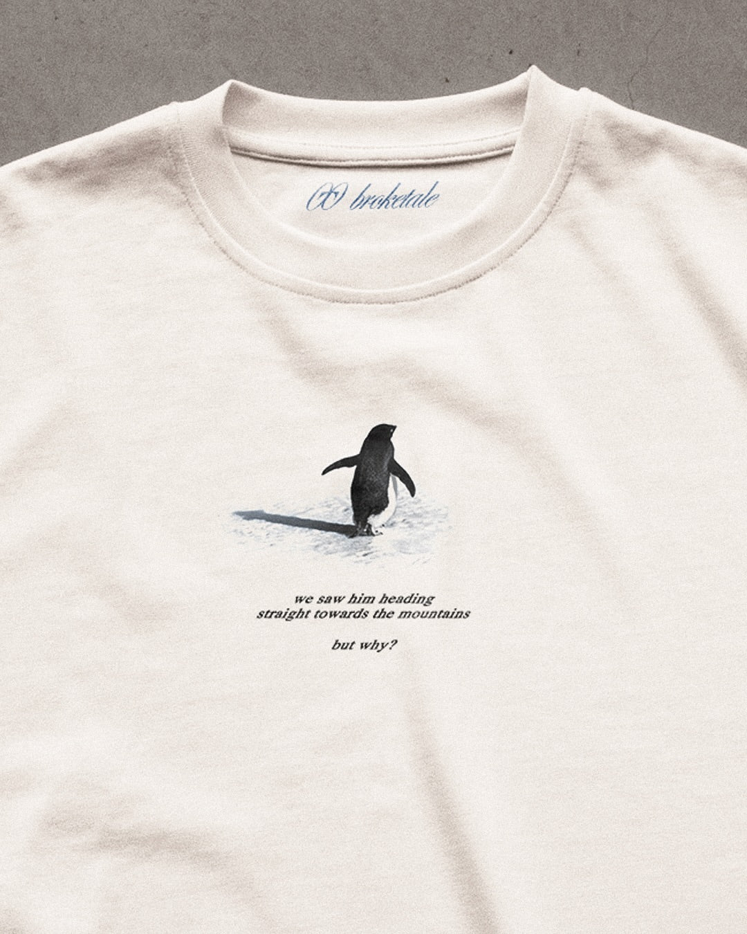 Be the Damn Penguin β Viral Oversized Aesthetic T-Shirt