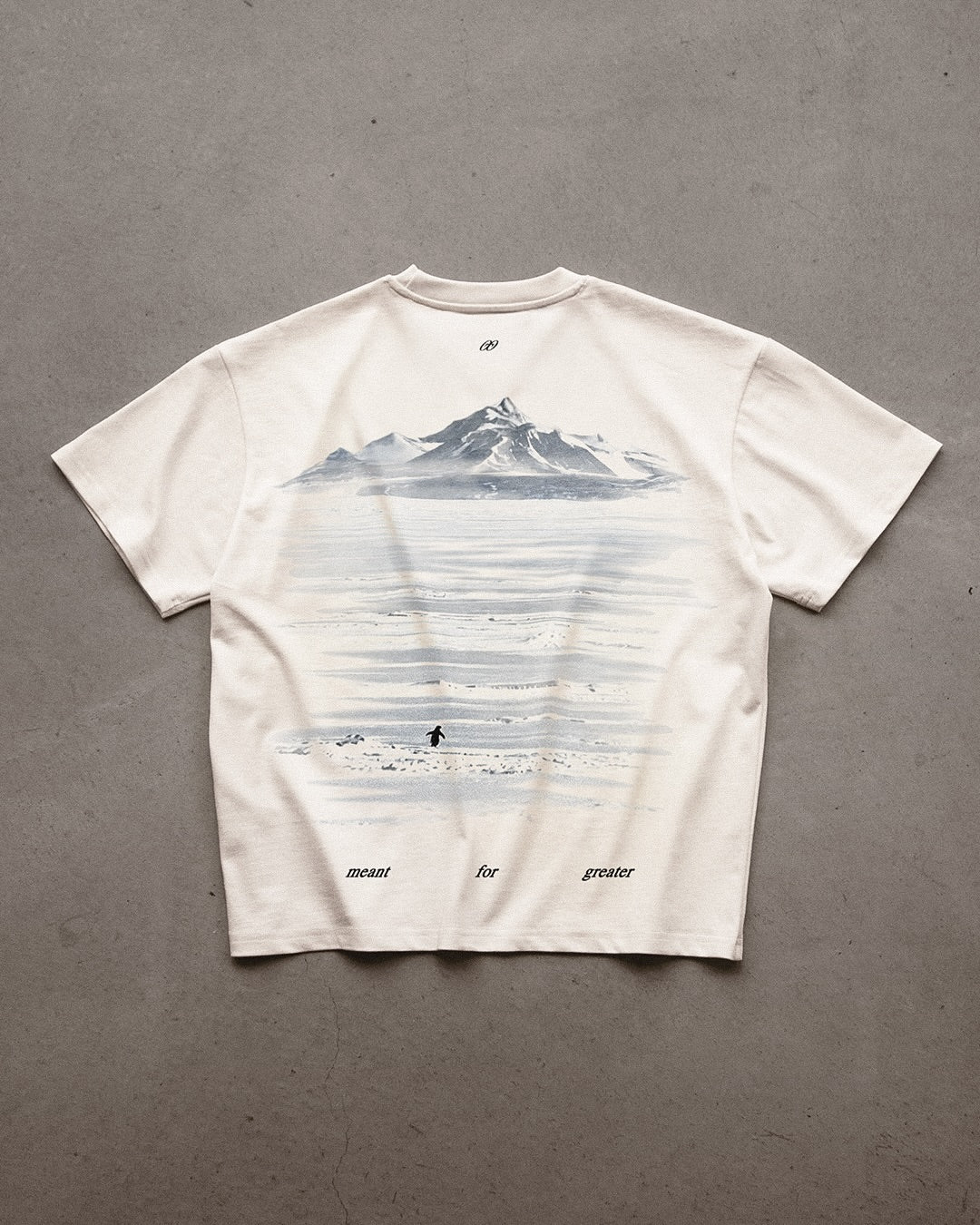 Be the Damn Penguin – Viral Oversized Aesthetic T-Shirt