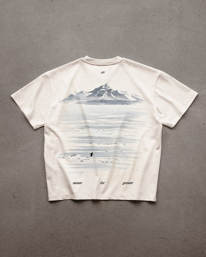 Be the Damn Penguin – Viral Oversized Aesthetic T-Shirt